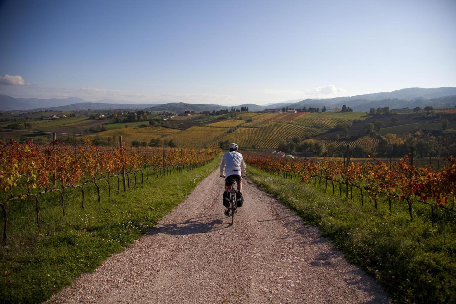 Апартаменты Agriturismo Bio Tra Cielo E Terra Grutti Экстерьер фото