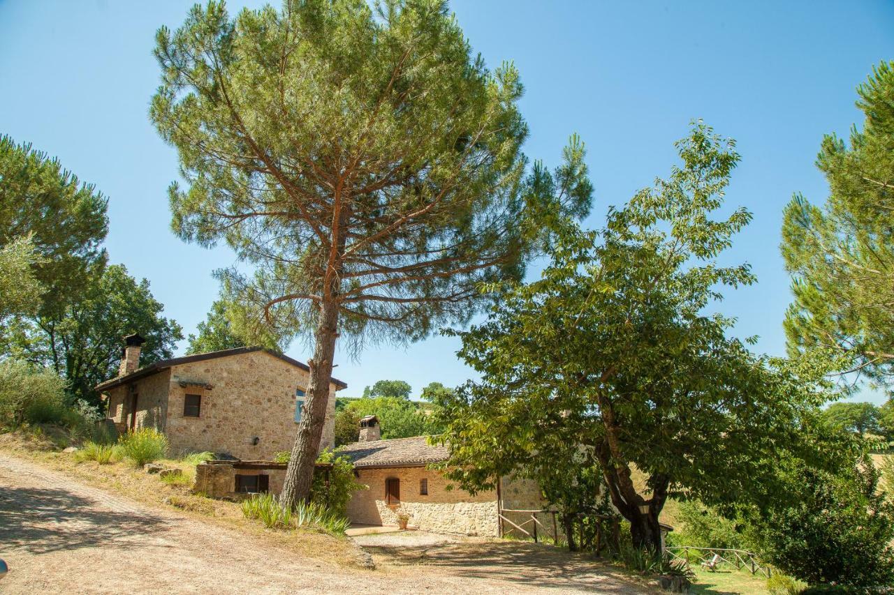 Апартаменты Agriturismo Bio Tra Cielo E Terra Grutti Экстерьер фото