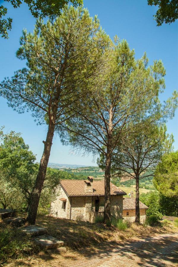 Апартаменты Agriturismo Bio Tra Cielo E Terra Grutti Экстерьер фото